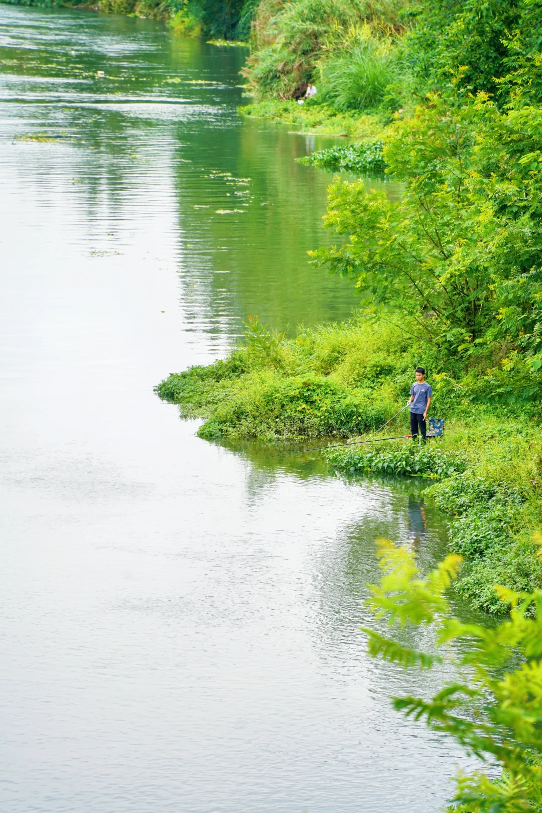 成都最美的景点果然都是免费的......