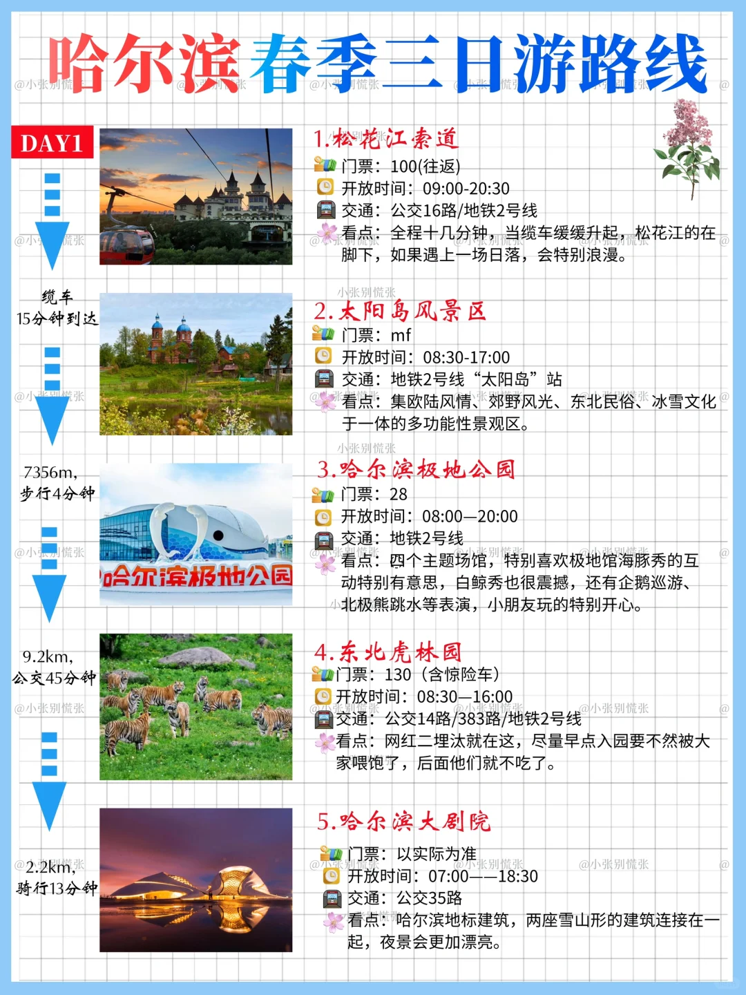 五一去哪儿|哈尔滨三天两晚旅游攻略请收好