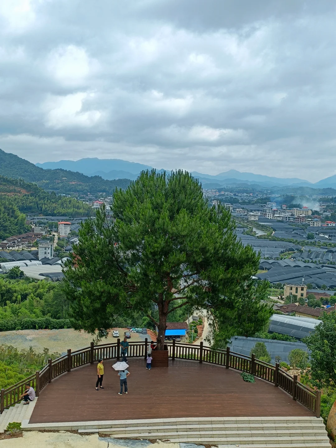 永福杜鹃谷：趁明年春天可能收💰前赶紧冲