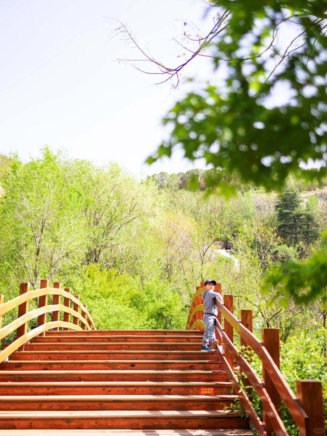 五一来徐州旅游，请收下这份攻略！