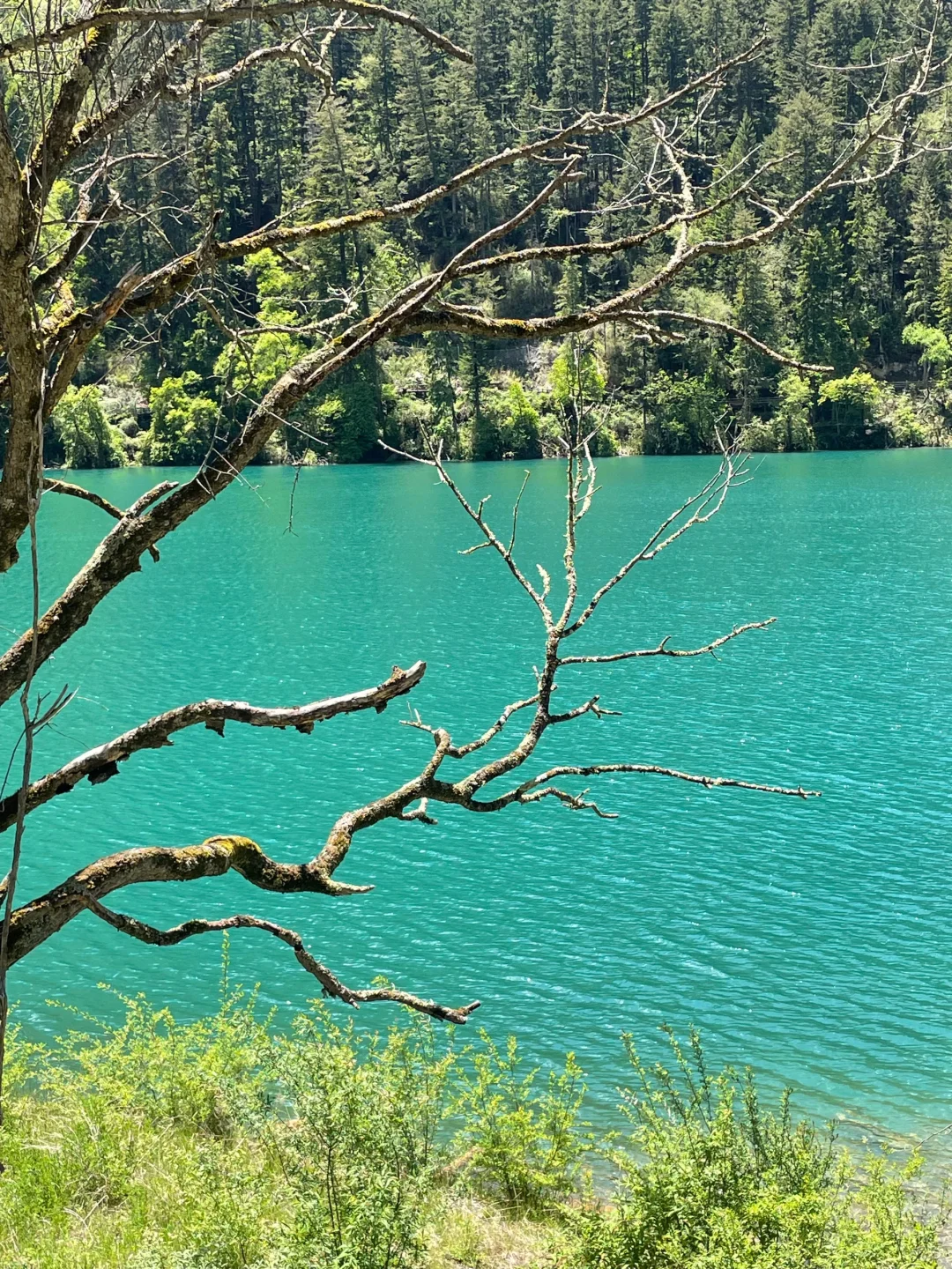 九寨沟刚发布的旅游通知❗️幸好提前看到了😭