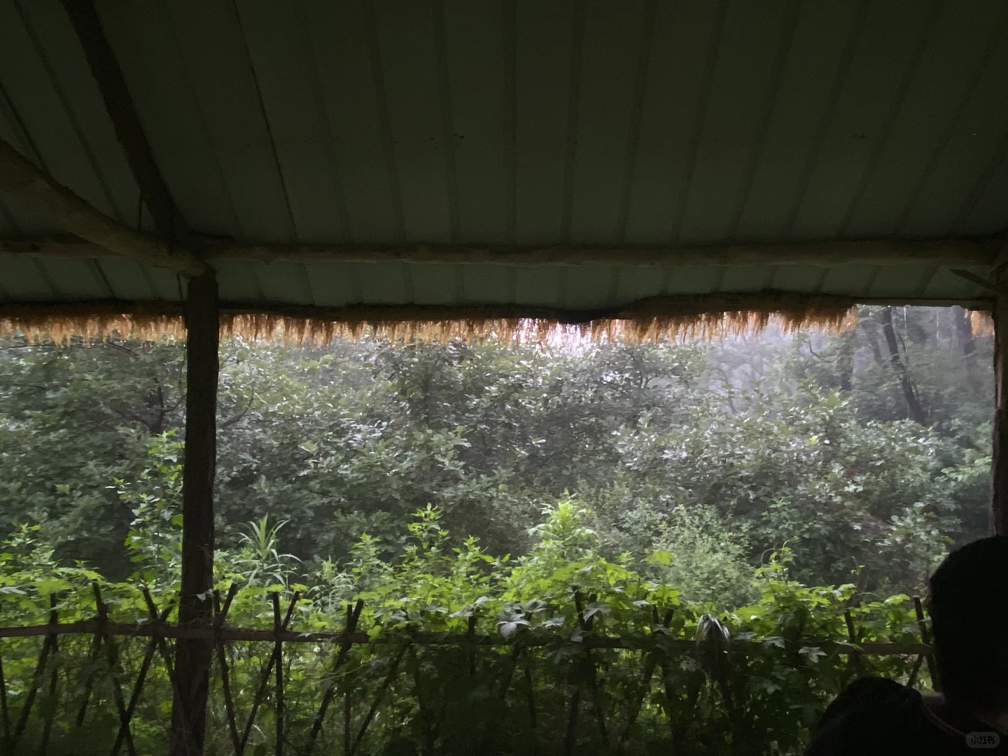 一张图证明你今年旅游了