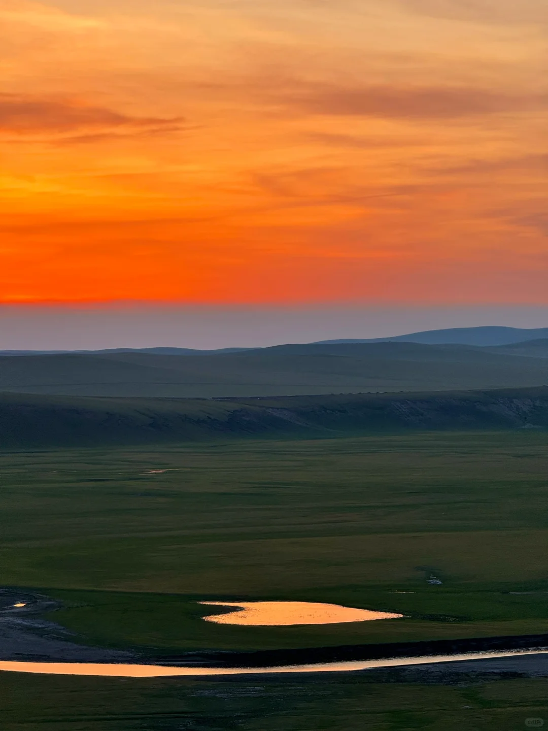 live图被草原治愈了，美的让人失语～