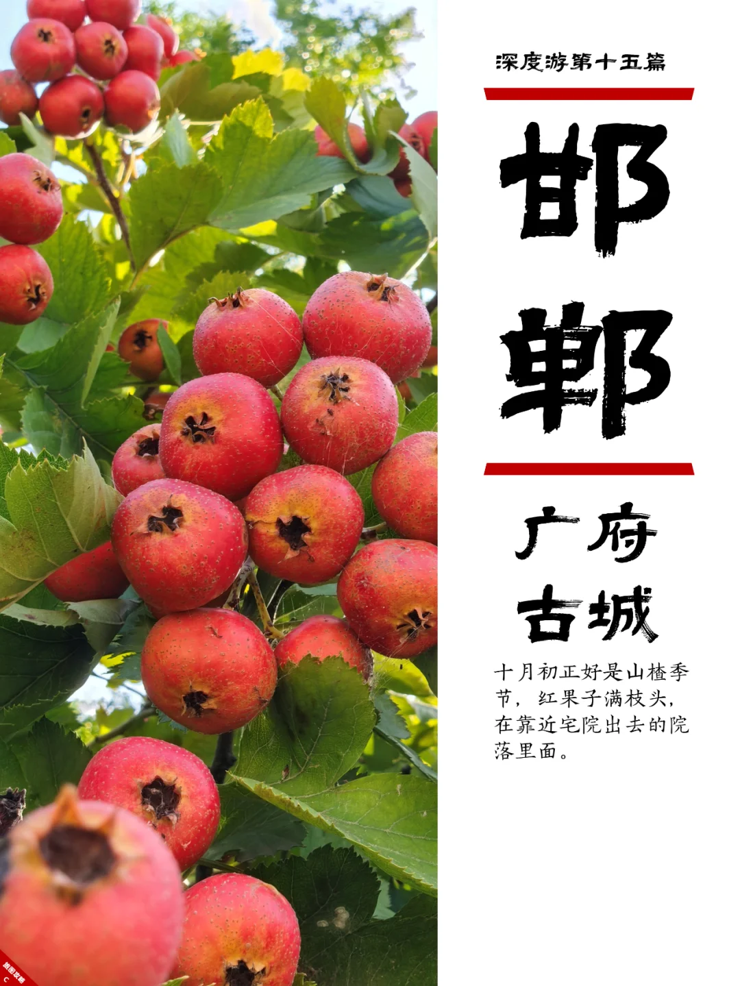 邯郸小众游15，广府古城，耍太极和吃酥鱼