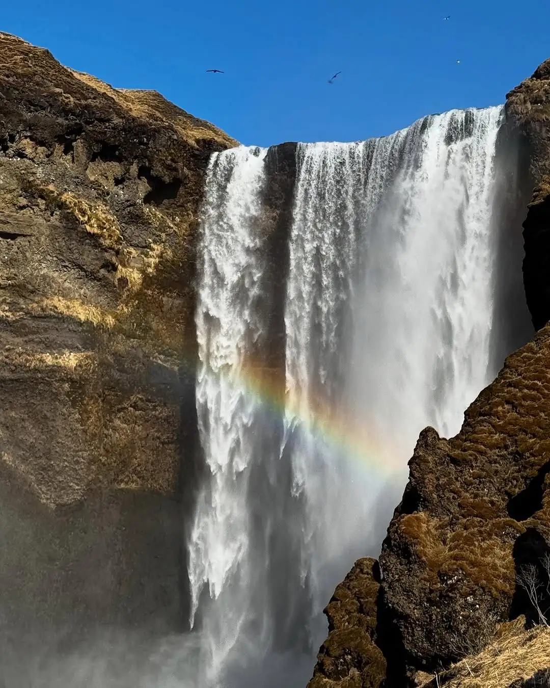 1.8w和闺蜜冰岛跟团已回,能救一个是一个