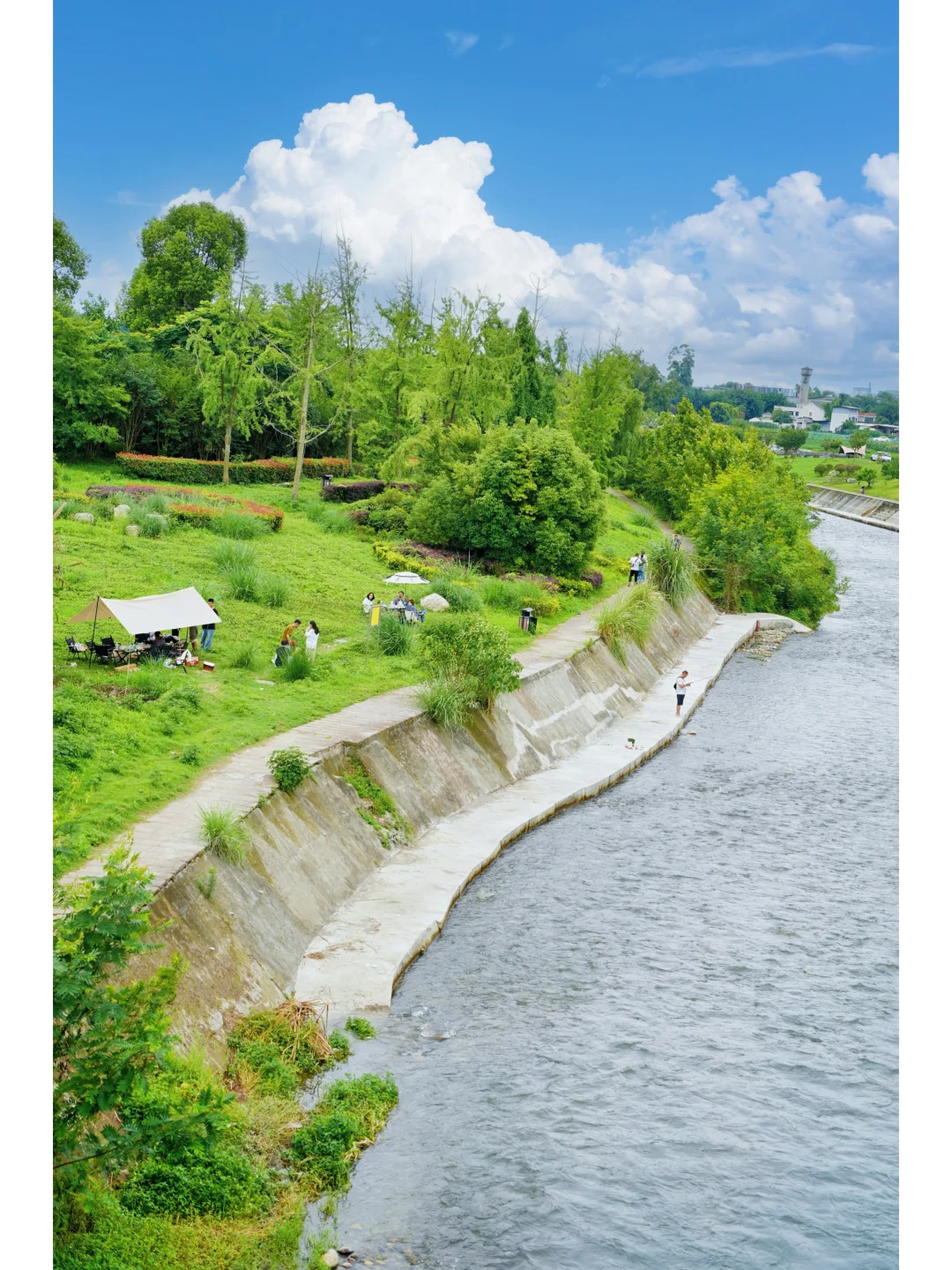 成都最美的景点果然都是免费的......