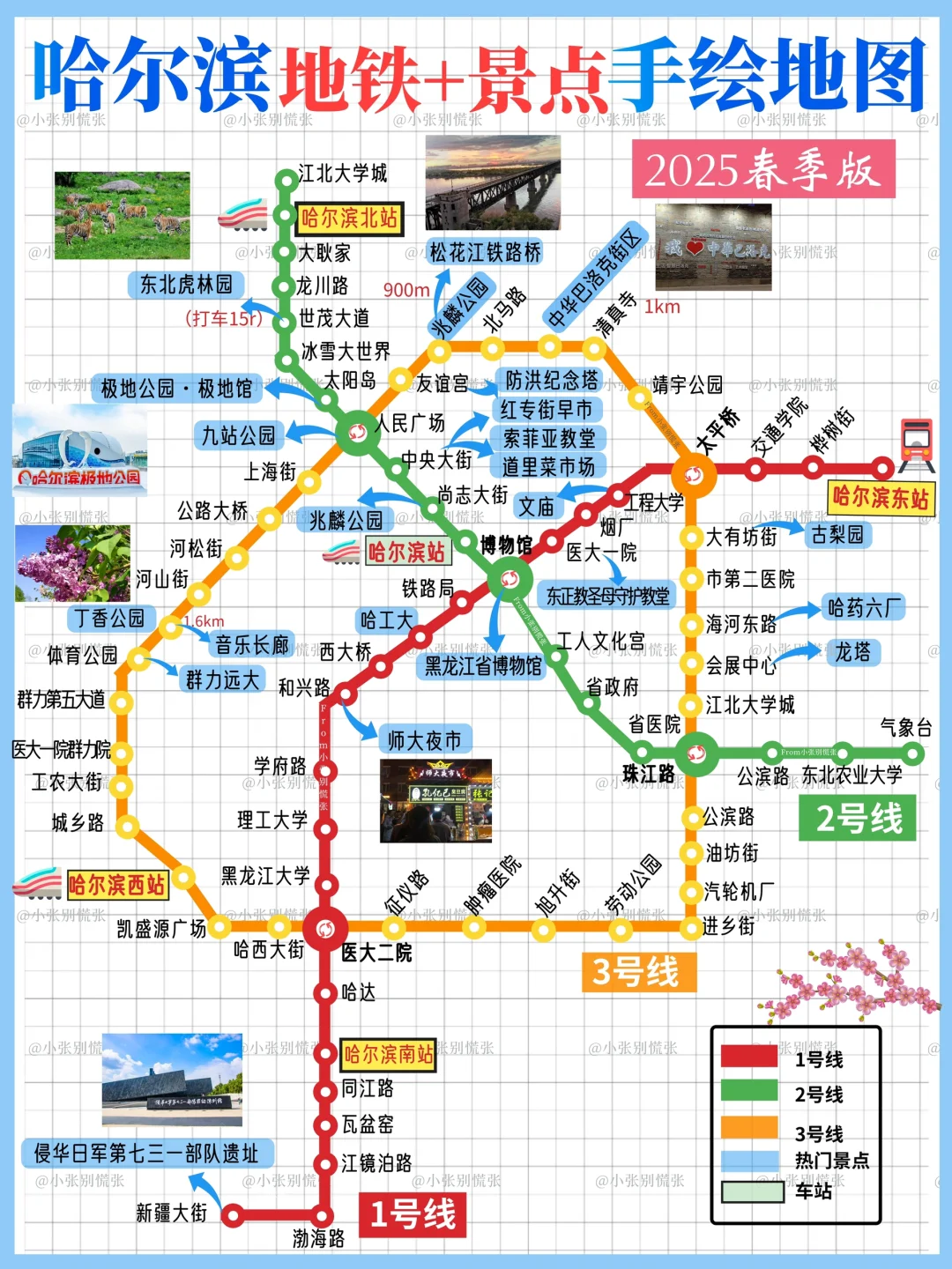 五一去哪儿|哈尔滨三天两晚旅游攻略请收好