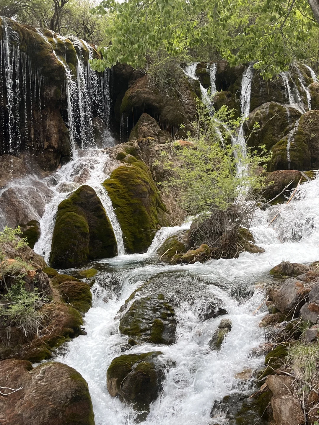 九寨沟两日游攻略｜带爸妈慢旅行