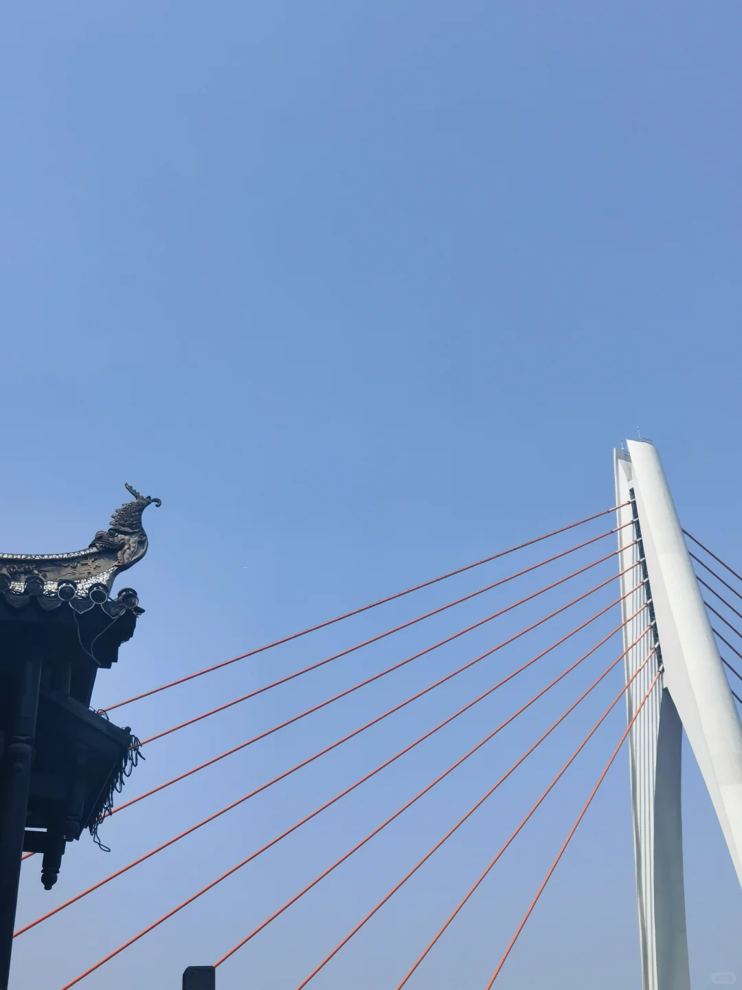 重庆旅游攻略|来重庆两次才悟出的旅游真理