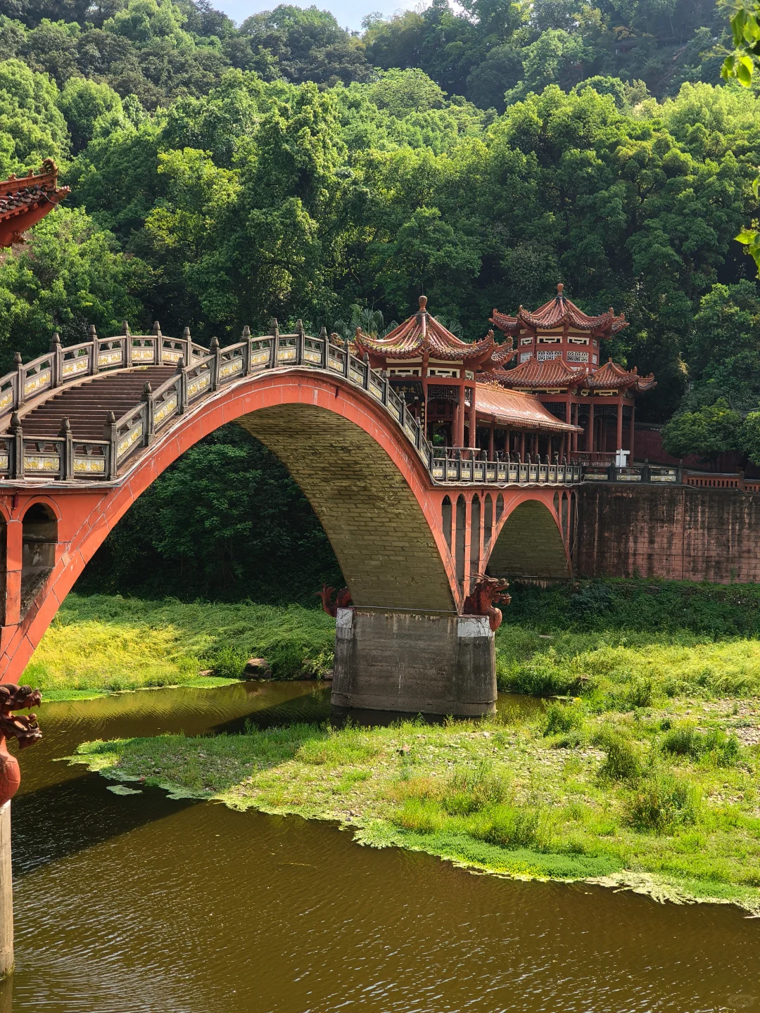 乐山旅游|本地人带路!保姆级打卡攻略✨