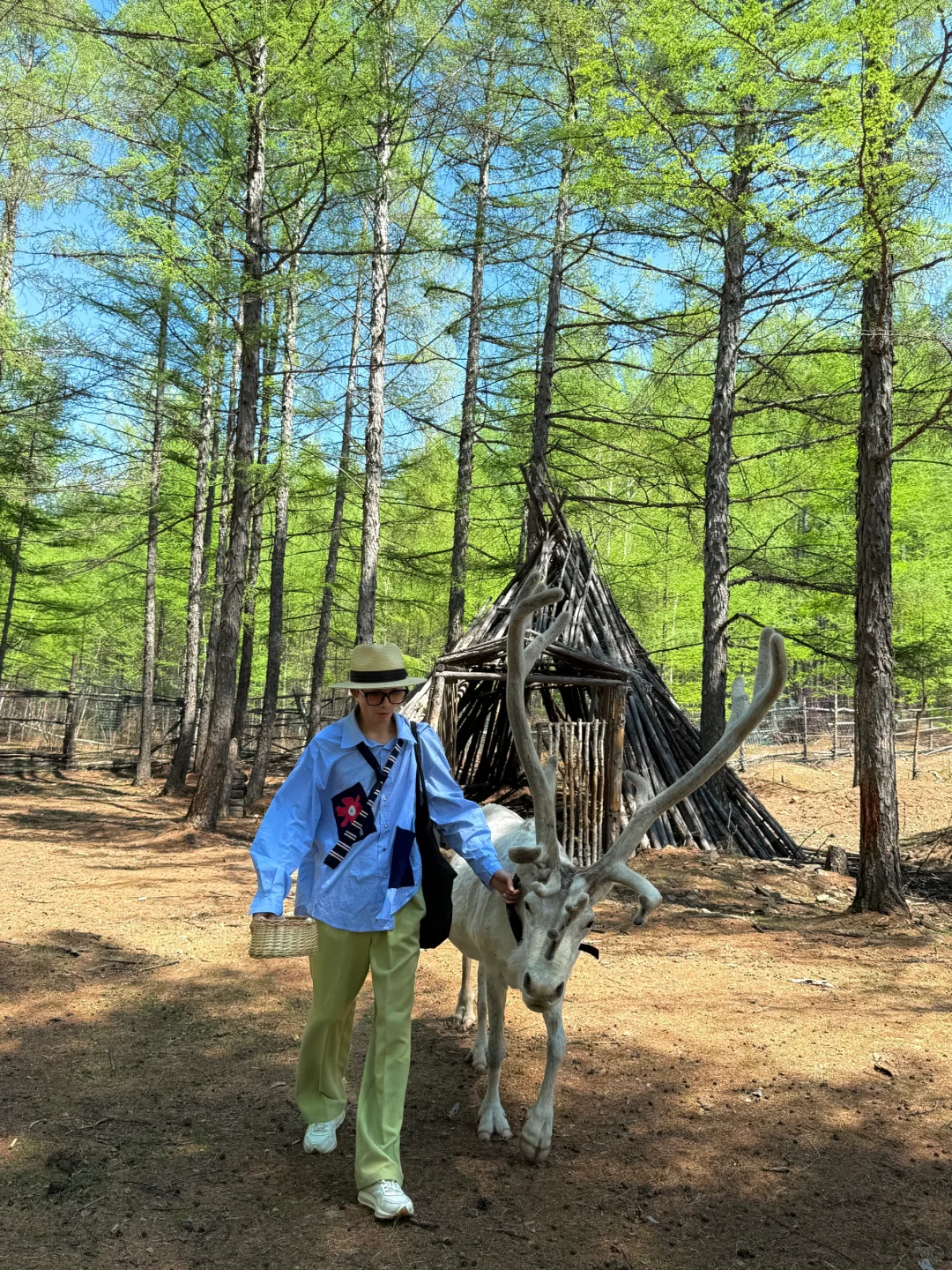 live图被草原治愈了，美的让人失语～