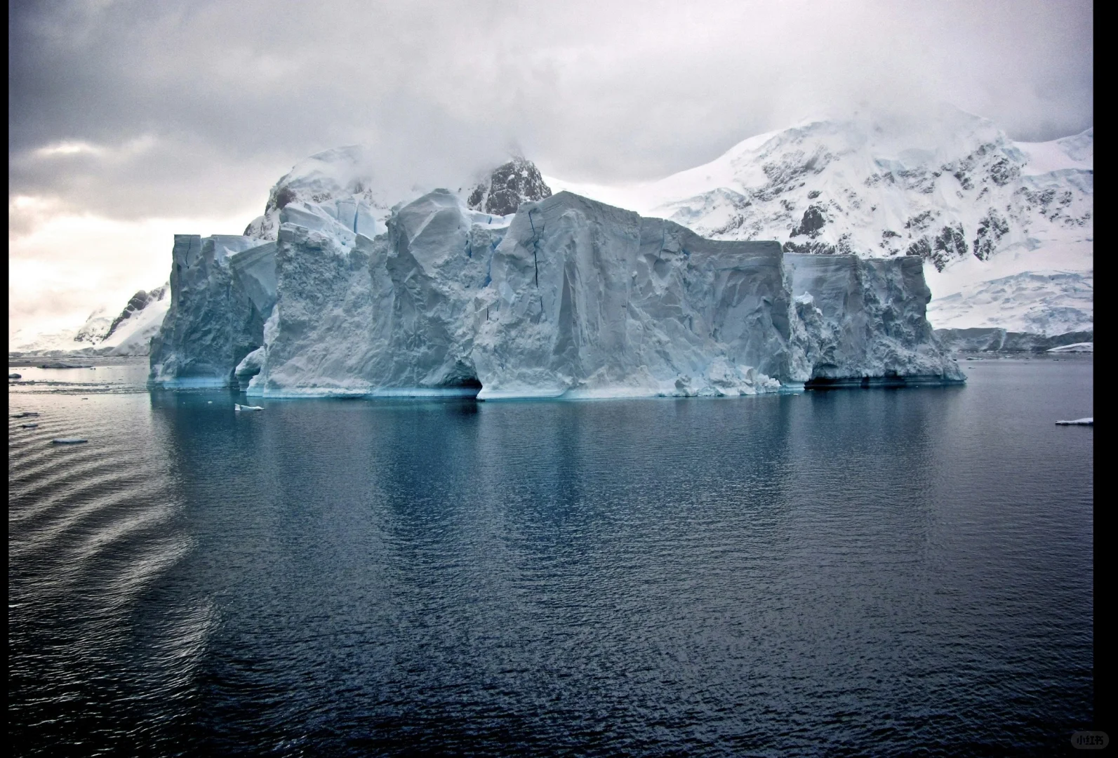 免费南极旅游的攻略来啦