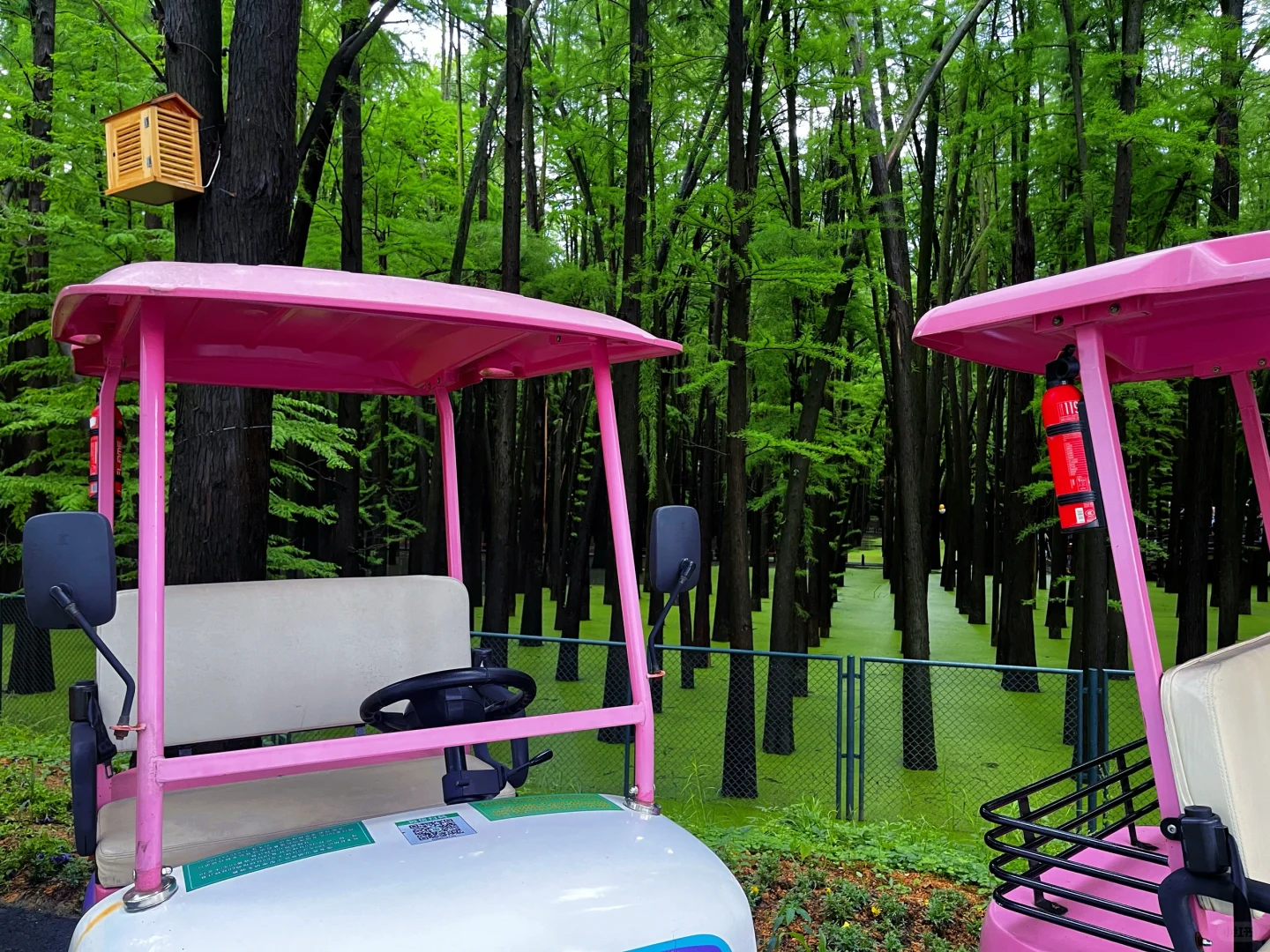 谁说绿野仙踪只在童话里⁉️