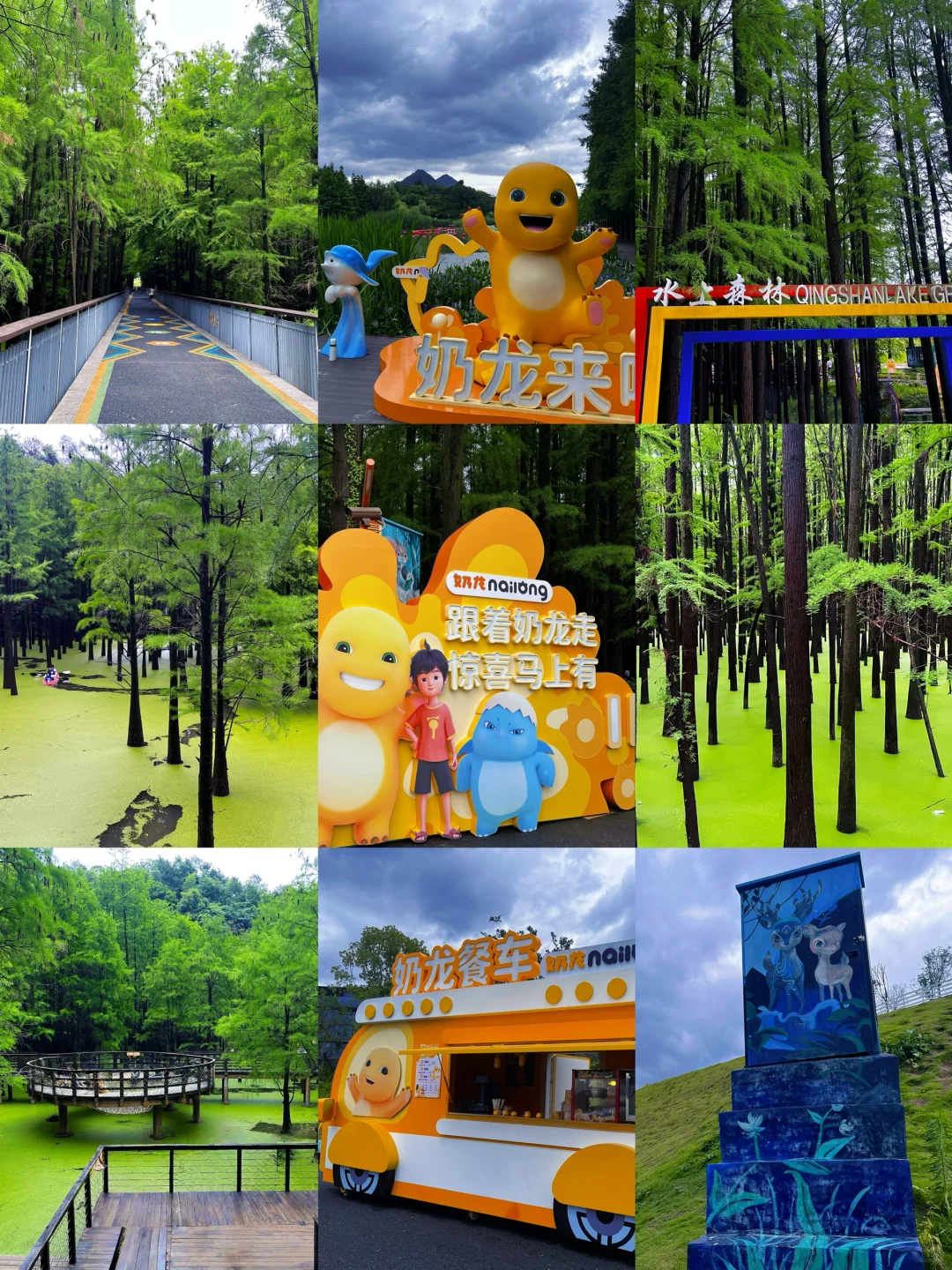 谁说绿野仙踪只在童话里⁉️