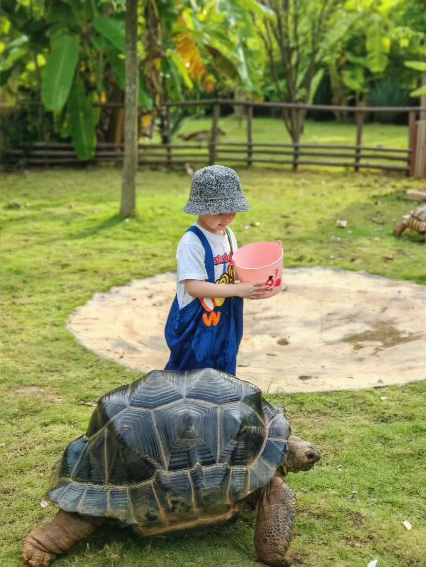 今年暑假我只带娃去一个地方:广西崇左🌴