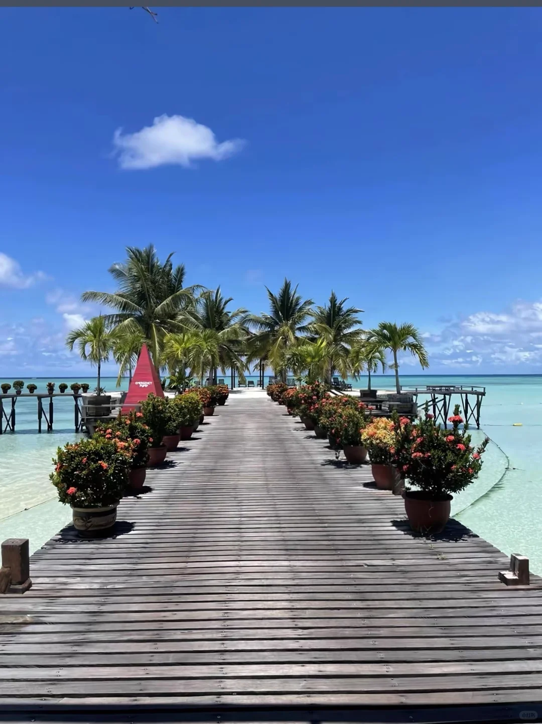 2025暑假我一定要去！