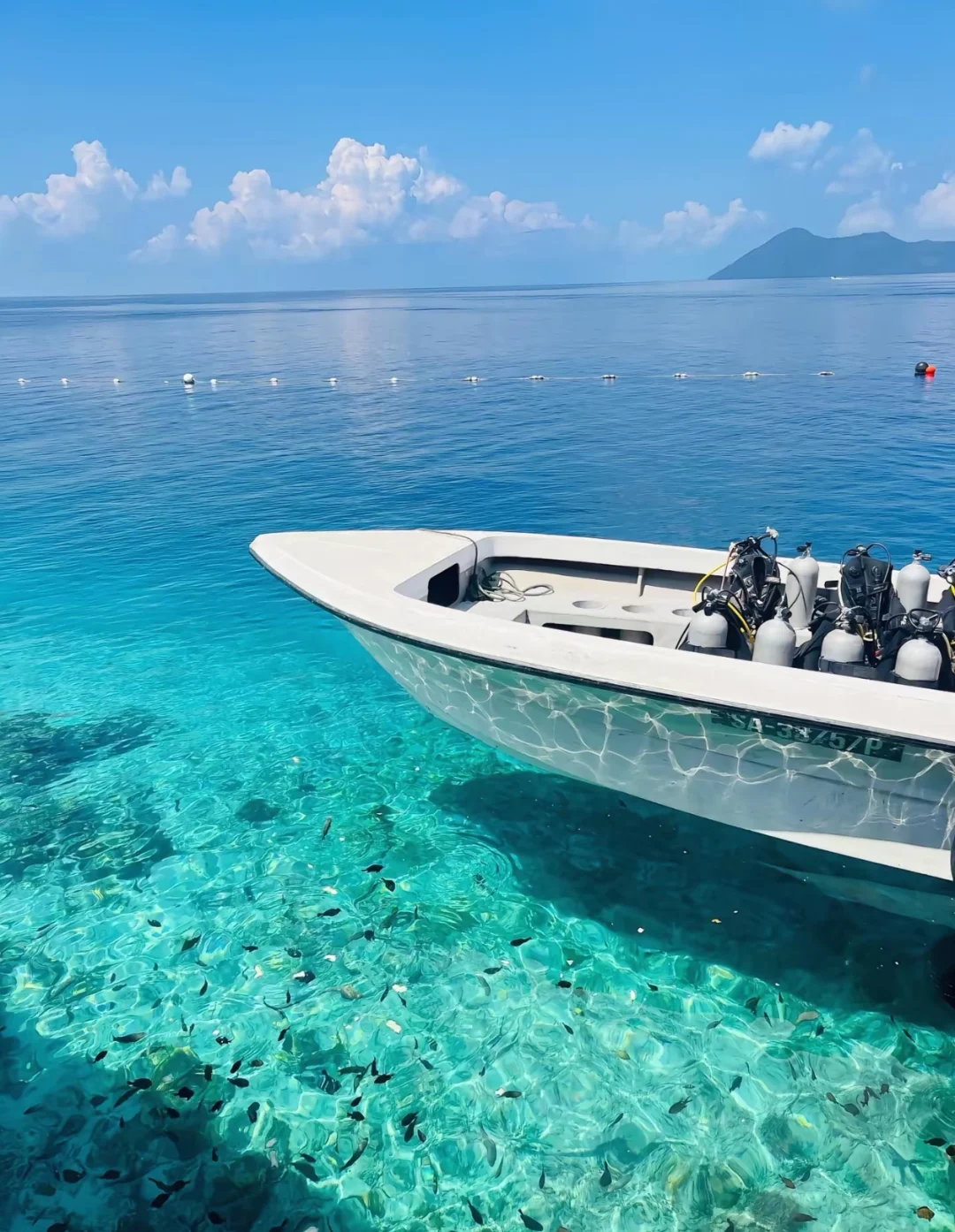 2025暑假我一定要去！