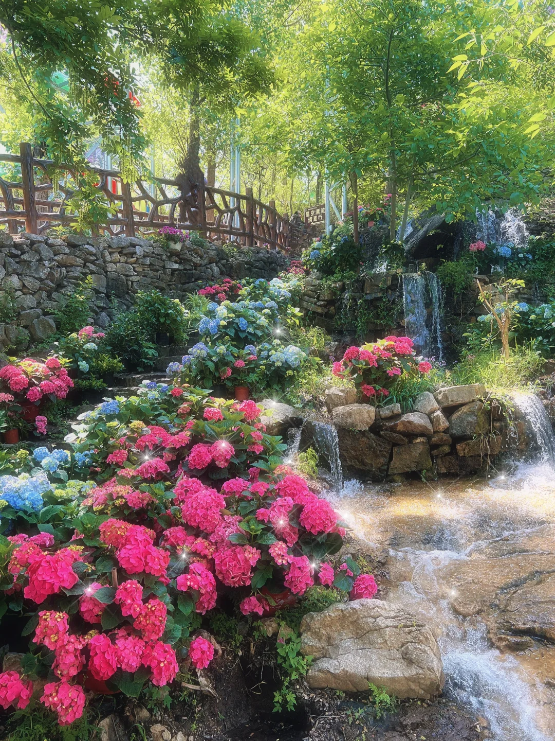 临沂的莫奈花园也太美了吧💐❗️