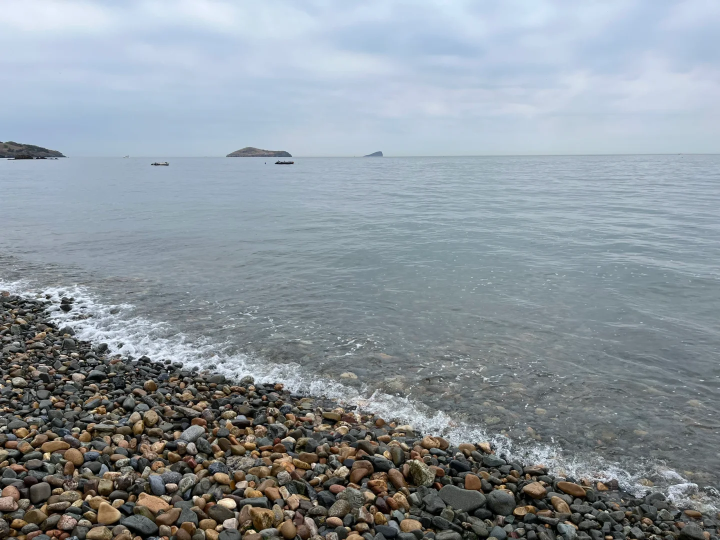 大连已回 我的感受是