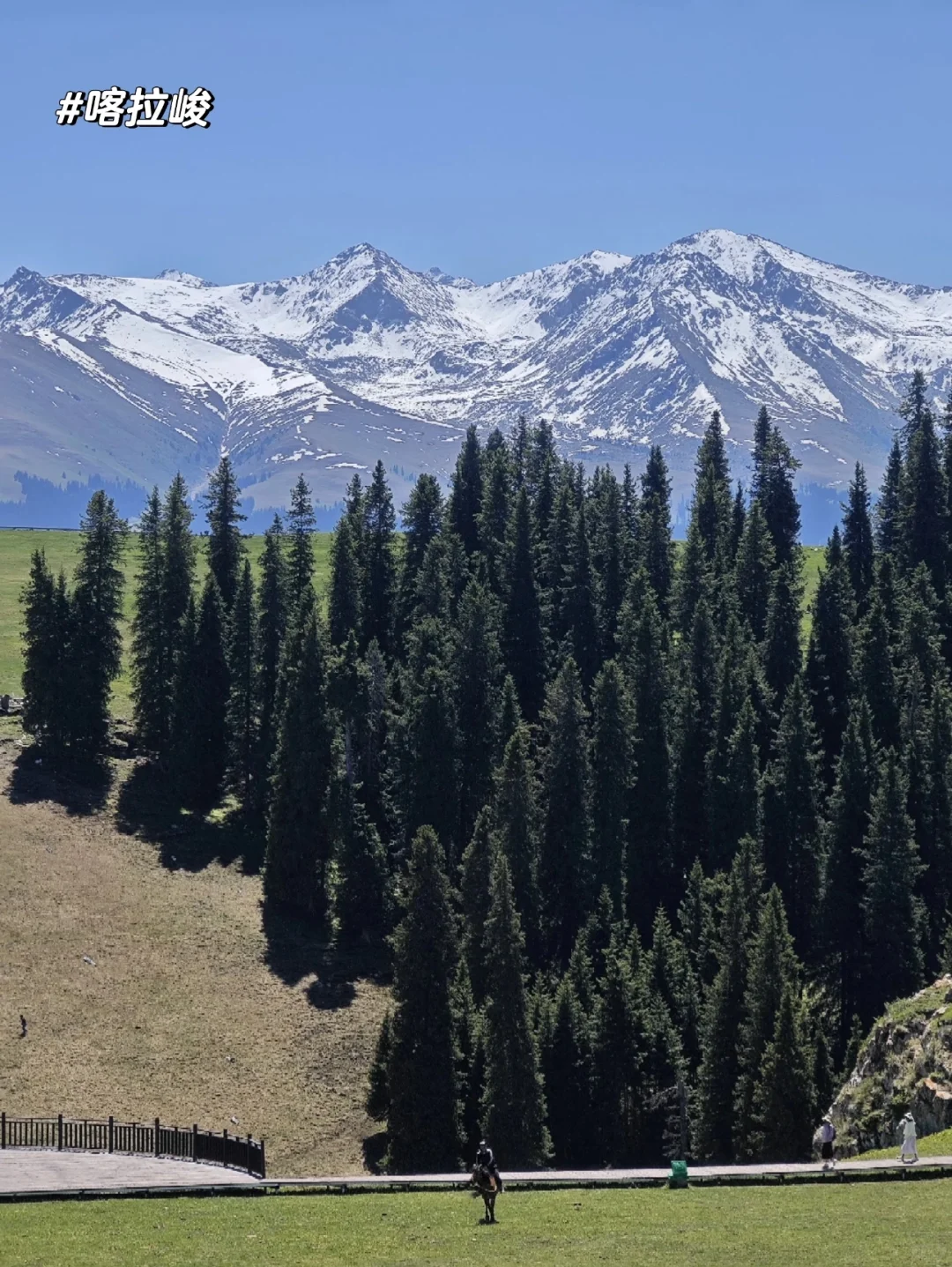 新疆的夏天真的太美了❗️
