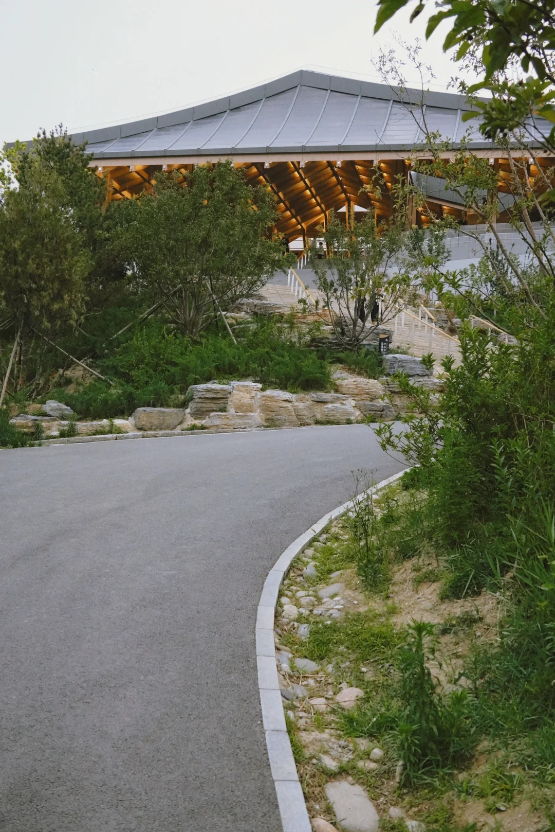 南城人的莫奈花园🌸 规模超顶的花海上线了