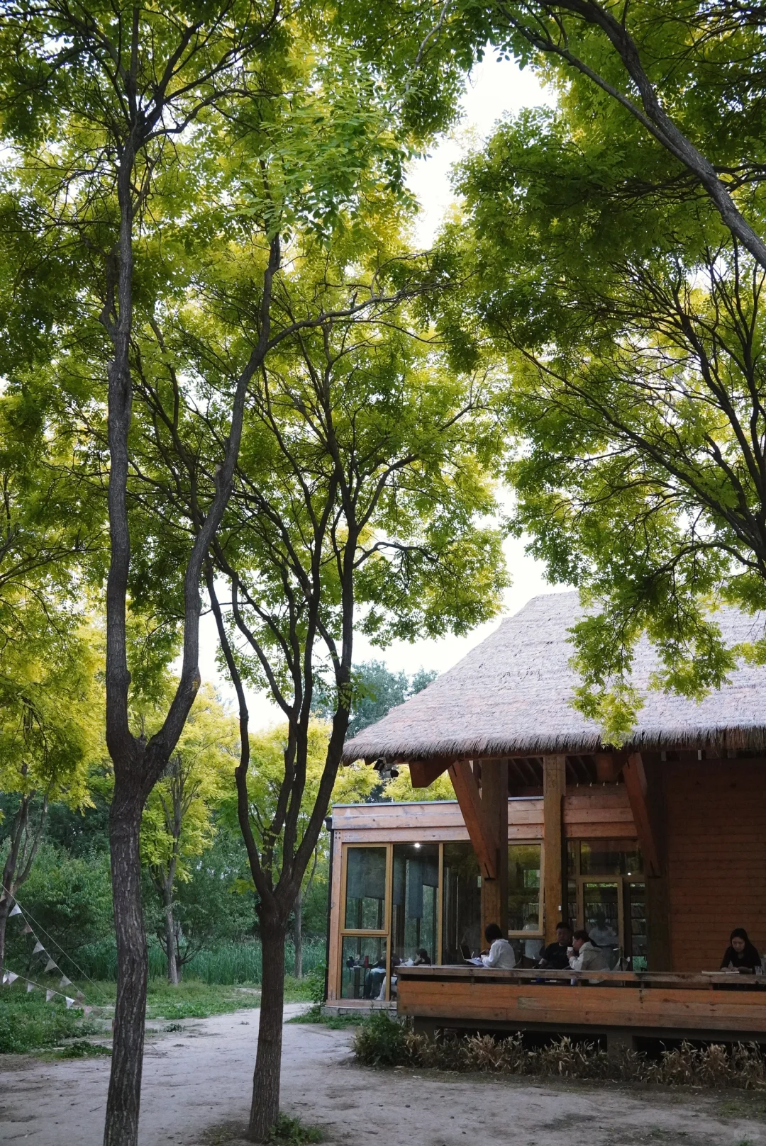 南城人的莫奈花园🌸 规模超顶的花海上线了