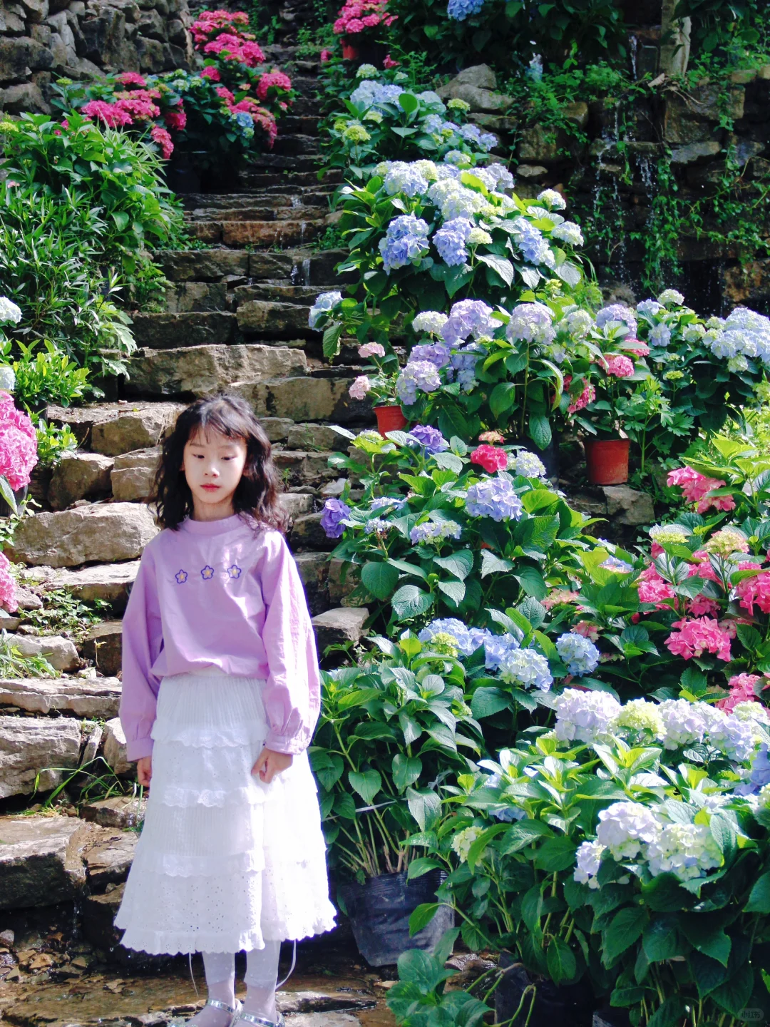 临沂的莫奈花园也太美了吧💐❗️