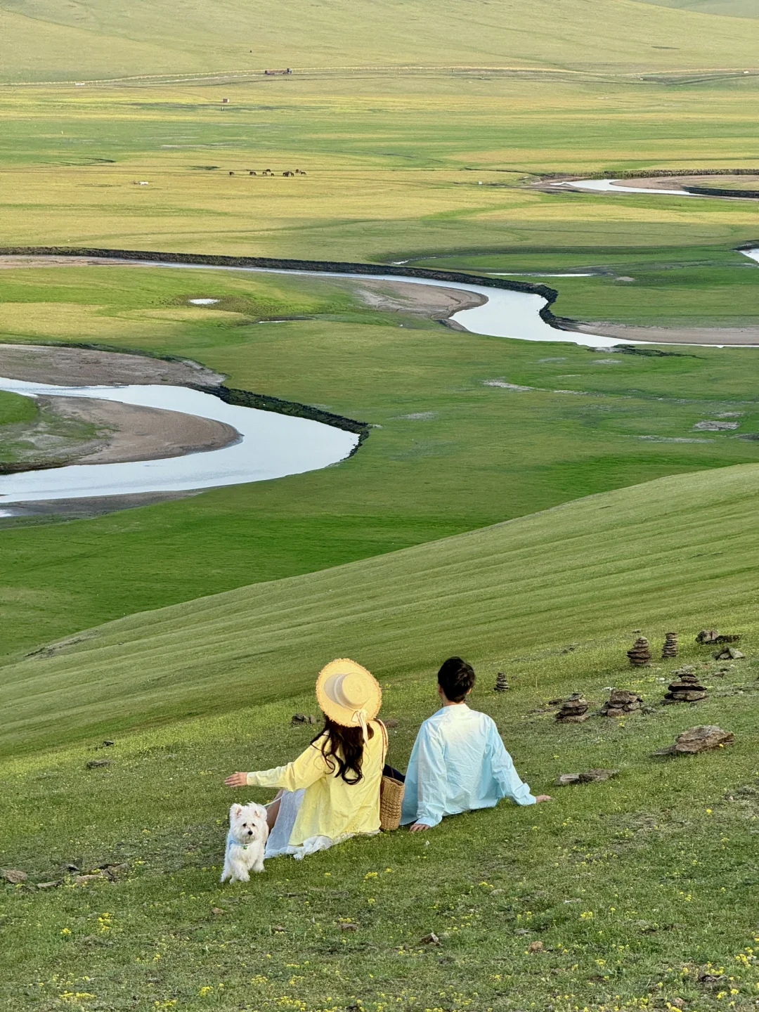 Live图🍃初夏的呼伦贝尔才是人间理想!!