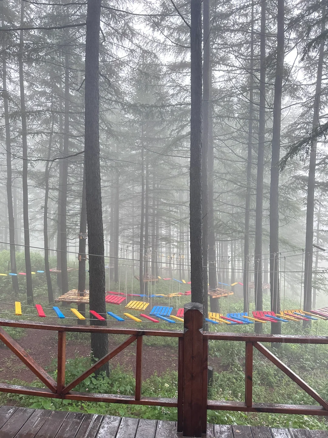 森林氧吧石家庄好去处～拒绝焦虑，停止内耗