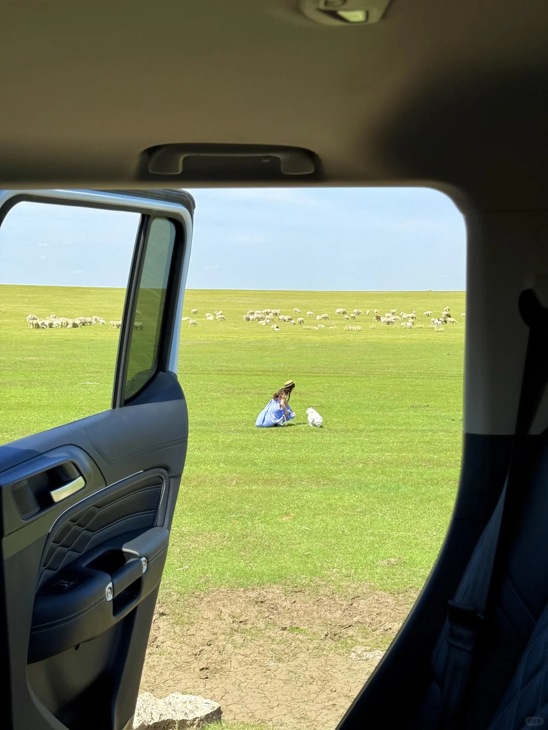 Live图🍃初夏的呼伦贝尔才是人间理想!!
