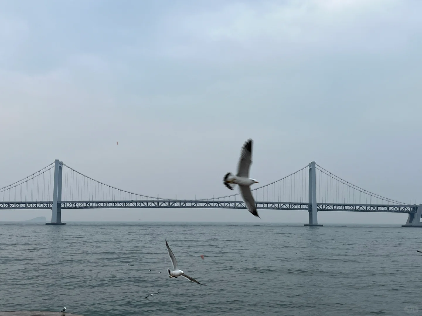 大连已回 我的感受是