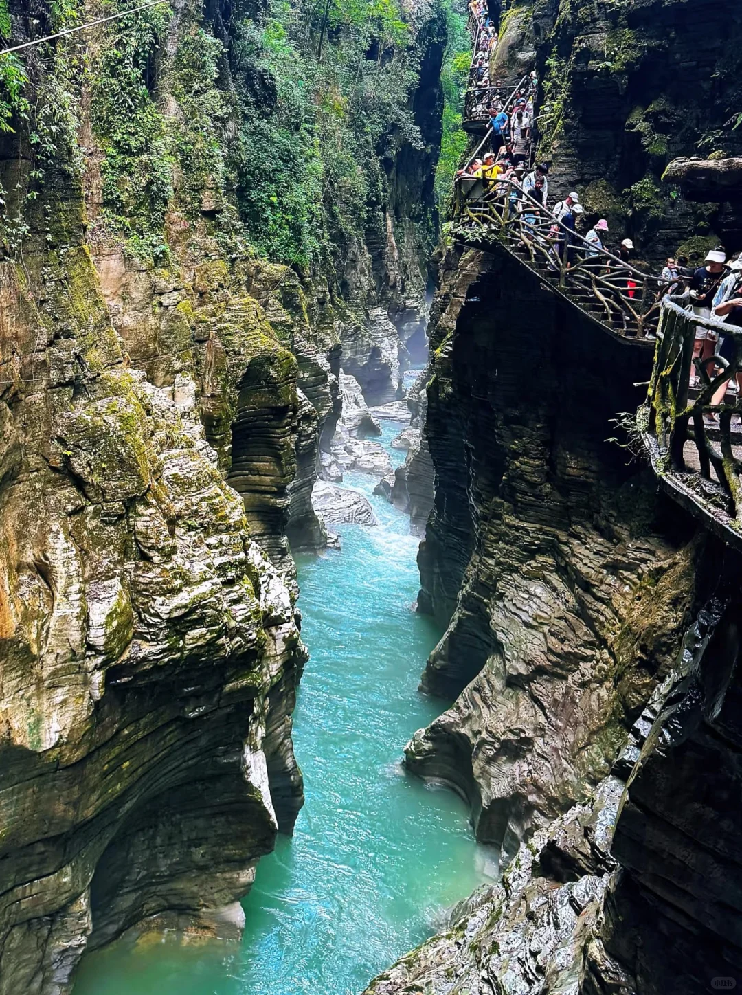 国家地理没骗人❗️恩施｜神农架｜三峡全攻略❗️