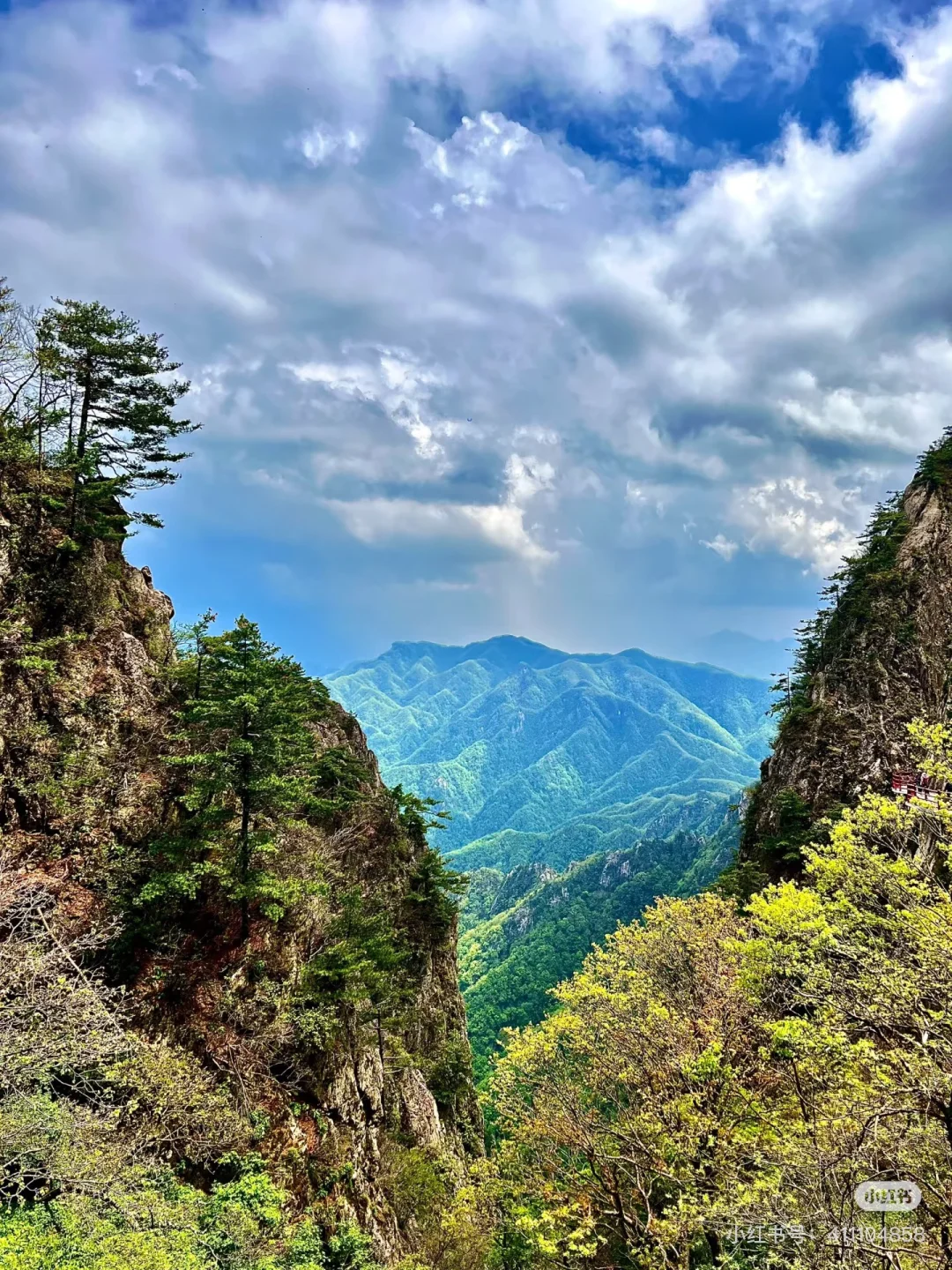 再干就要干死了的洛阳攻略来啦!