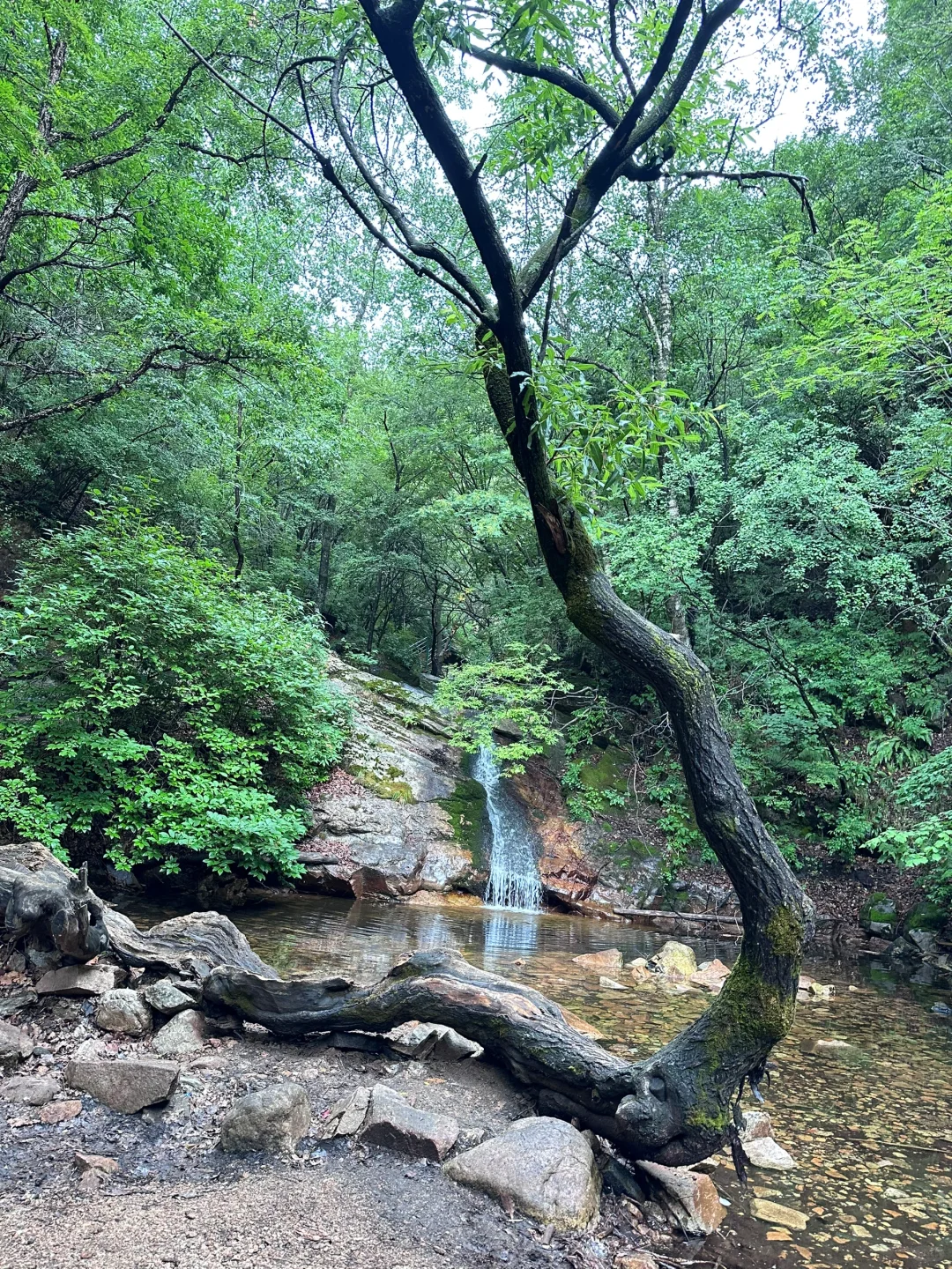 森林氧吧石家庄好去处～拒绝焦虑，停止内耗