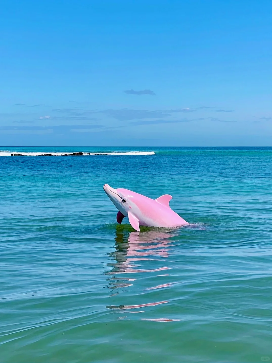 今年暑假我只带娃去一个地方:广西崇左🌴