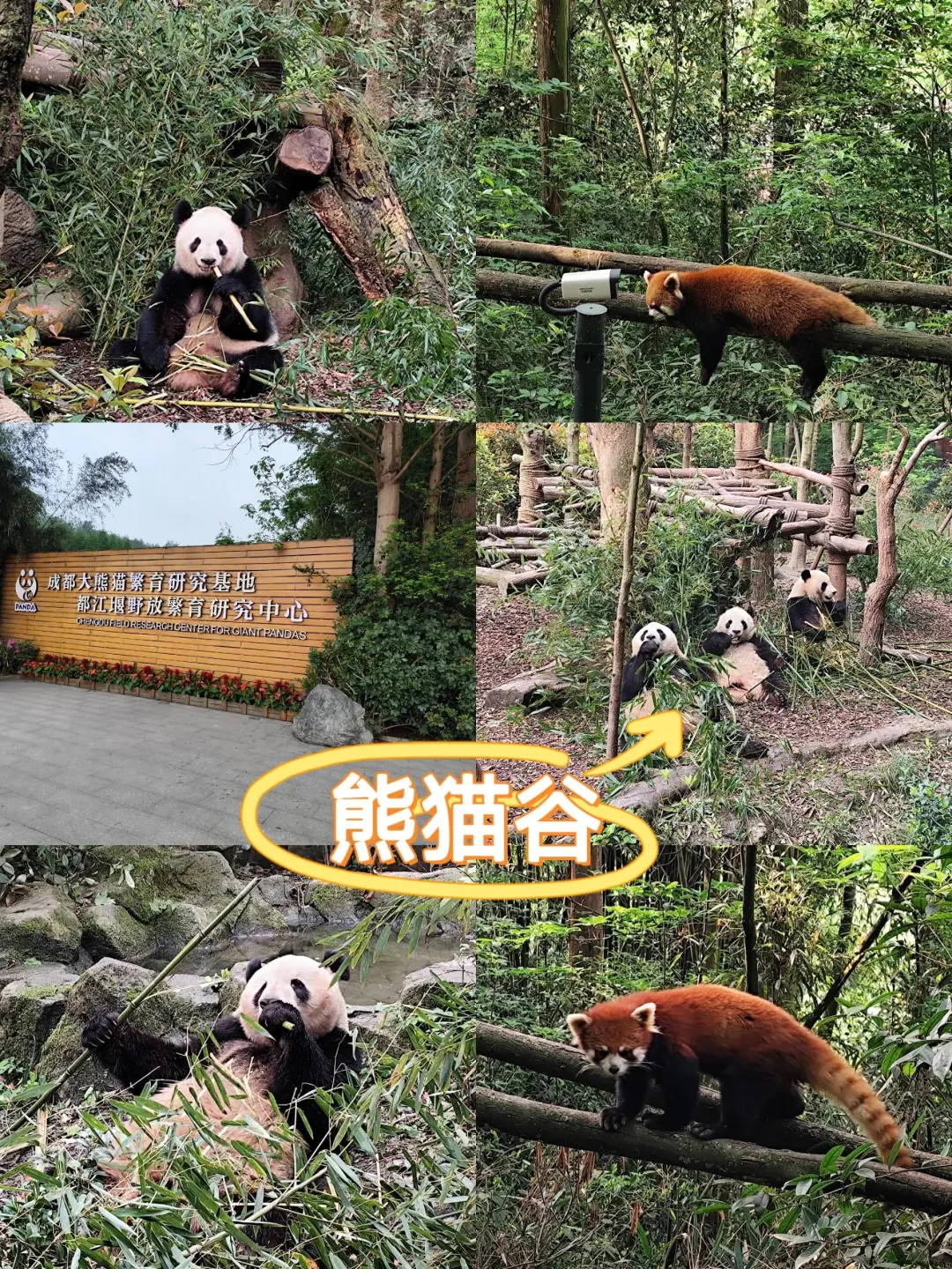 暑假玩转成都，不绕路省钱攻略来了