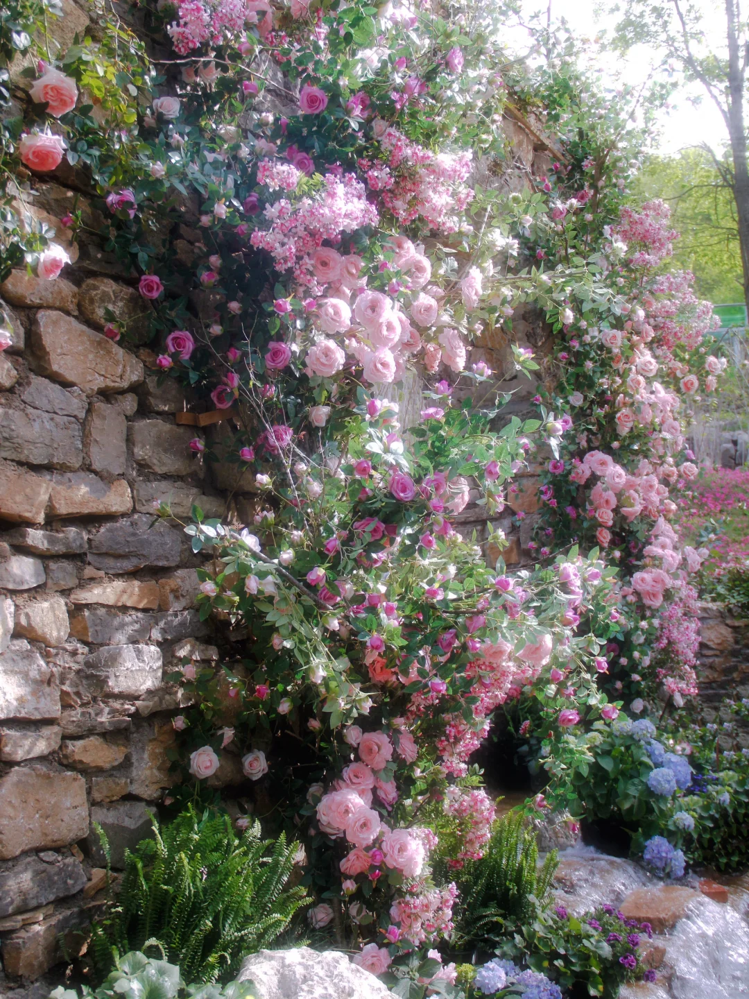 临沂的莫奈花园也太美了吧💐❗️