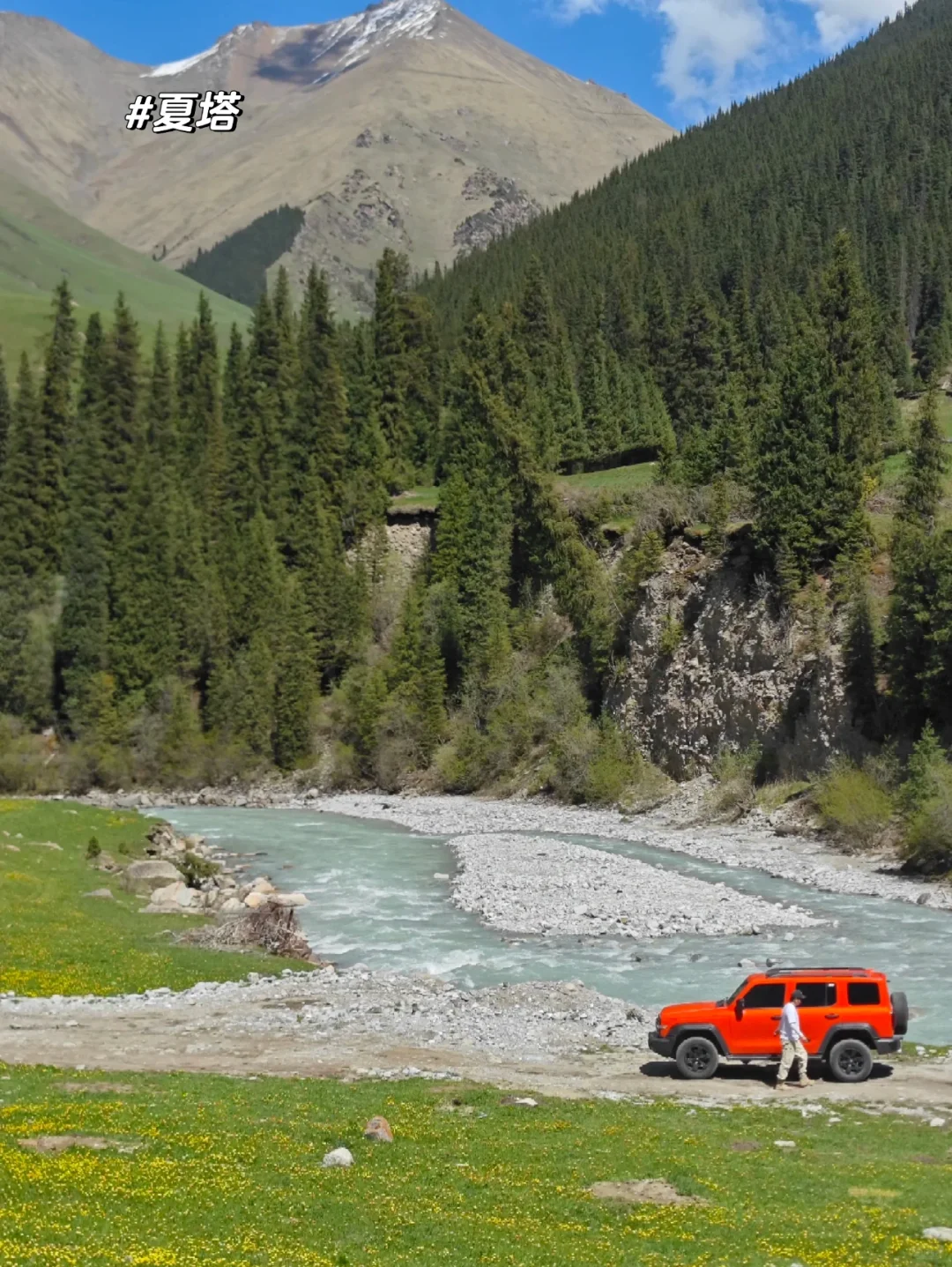 新疆的夏天真的太美了❗️