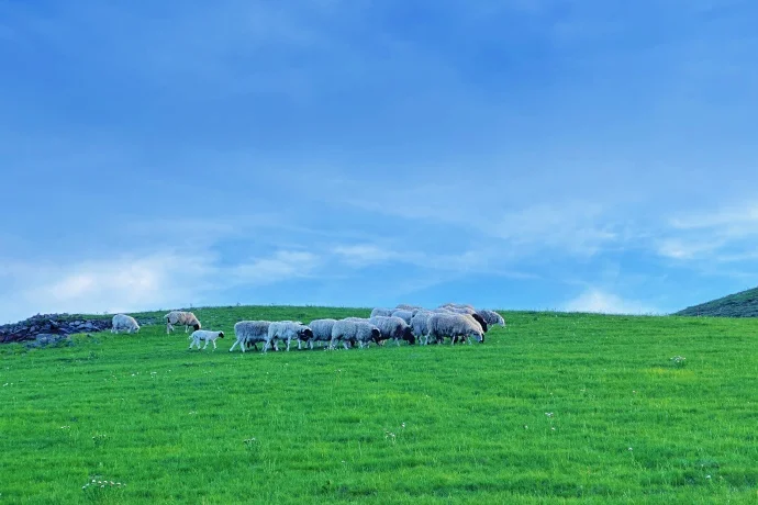 端午反向旅行,推荐一个被低估的冷门旅行地