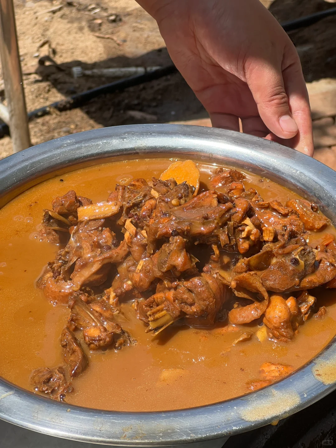 临沂的莫奈花园也太美了吧💐❗️