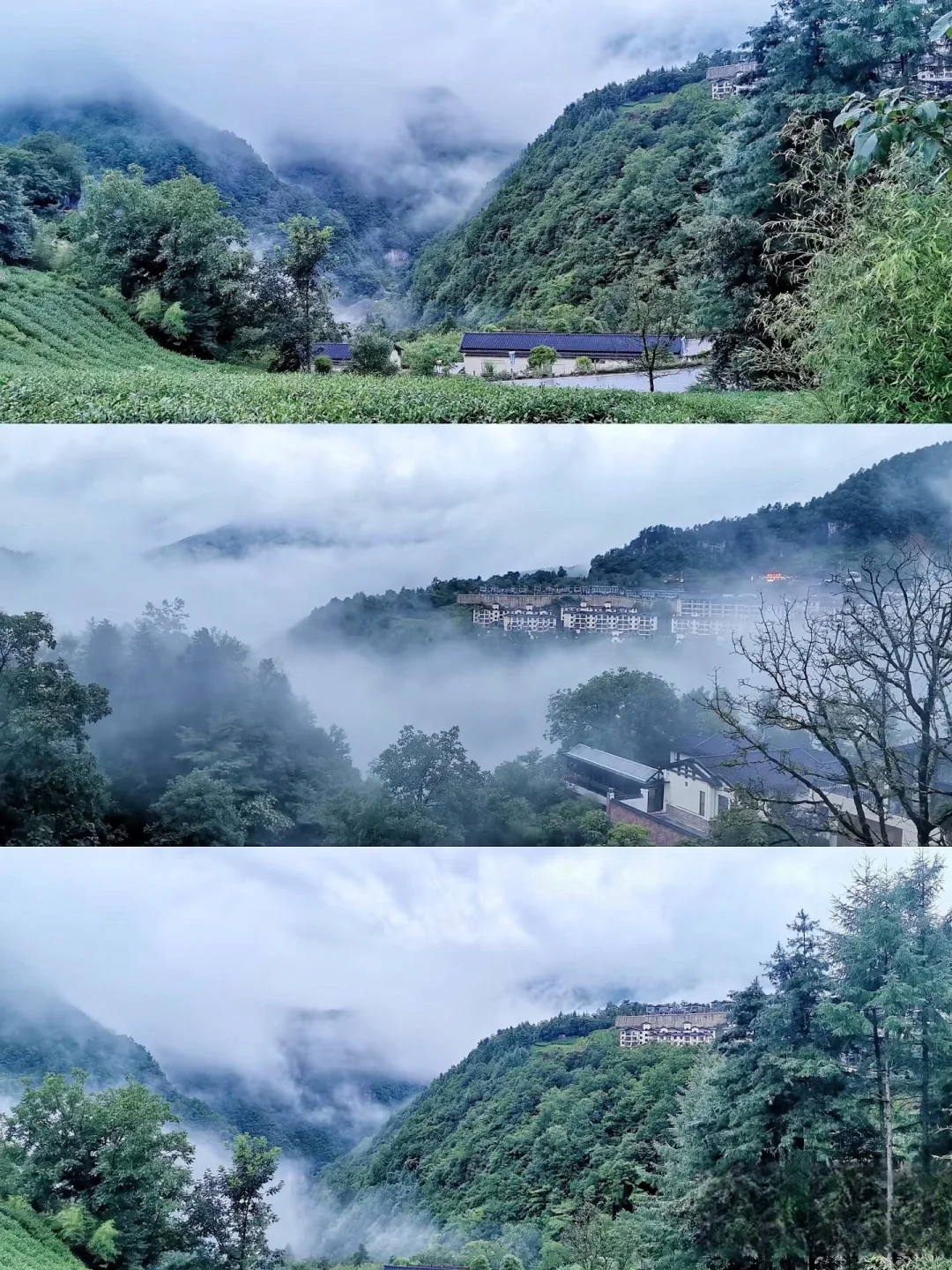 国家地理没骗人❗️恩施｜神农架｜三峡全攻略❗️