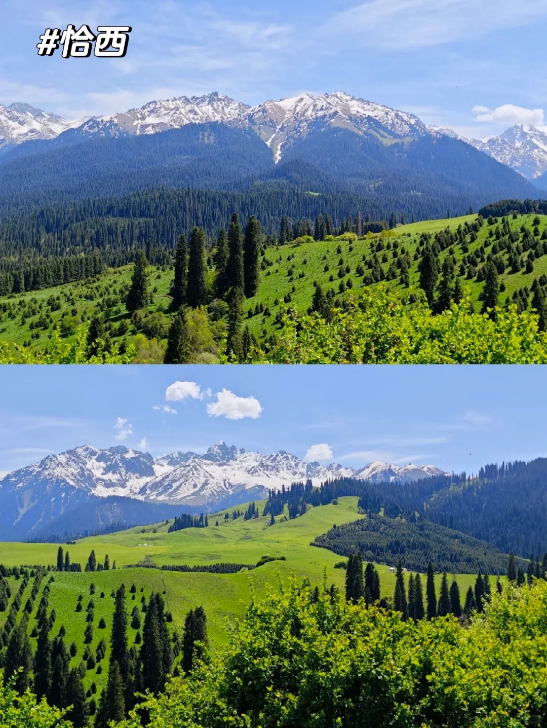 新疆的夏天真的太美了❗️