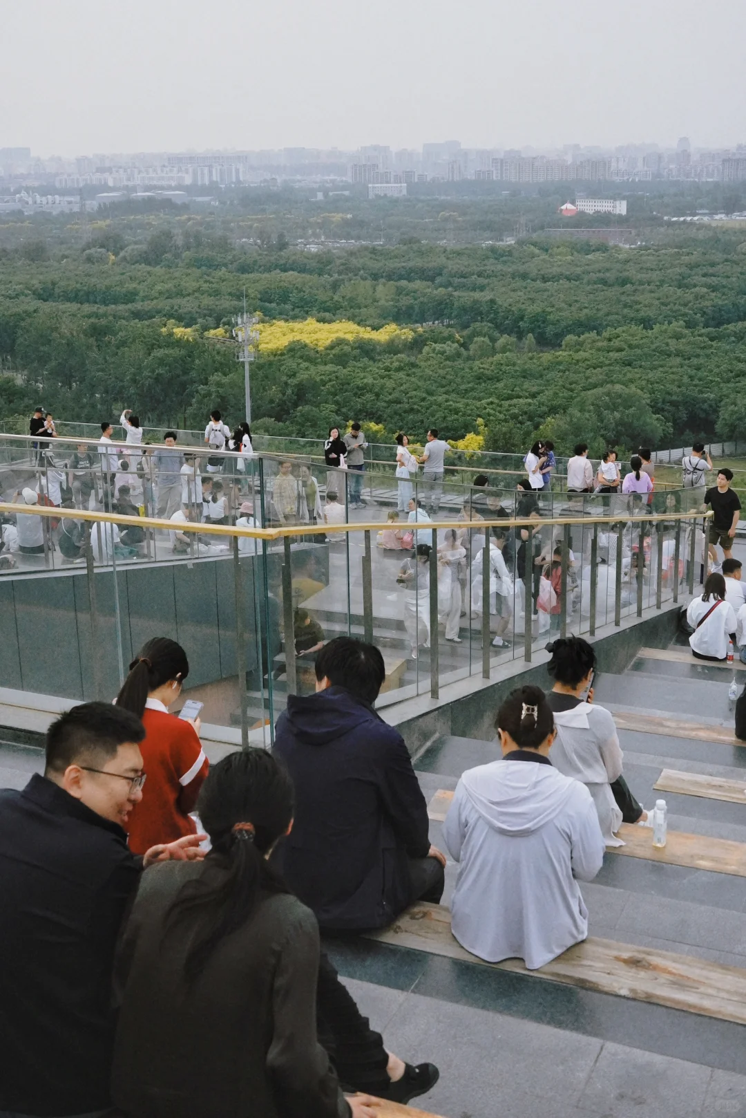 南城人的莫奈花园🌸 规模超顶的花海上线了