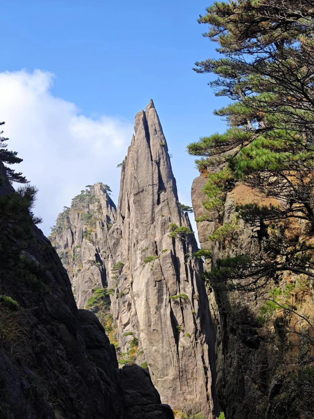 黄山之巅,邂逅云与峰的浪漫!