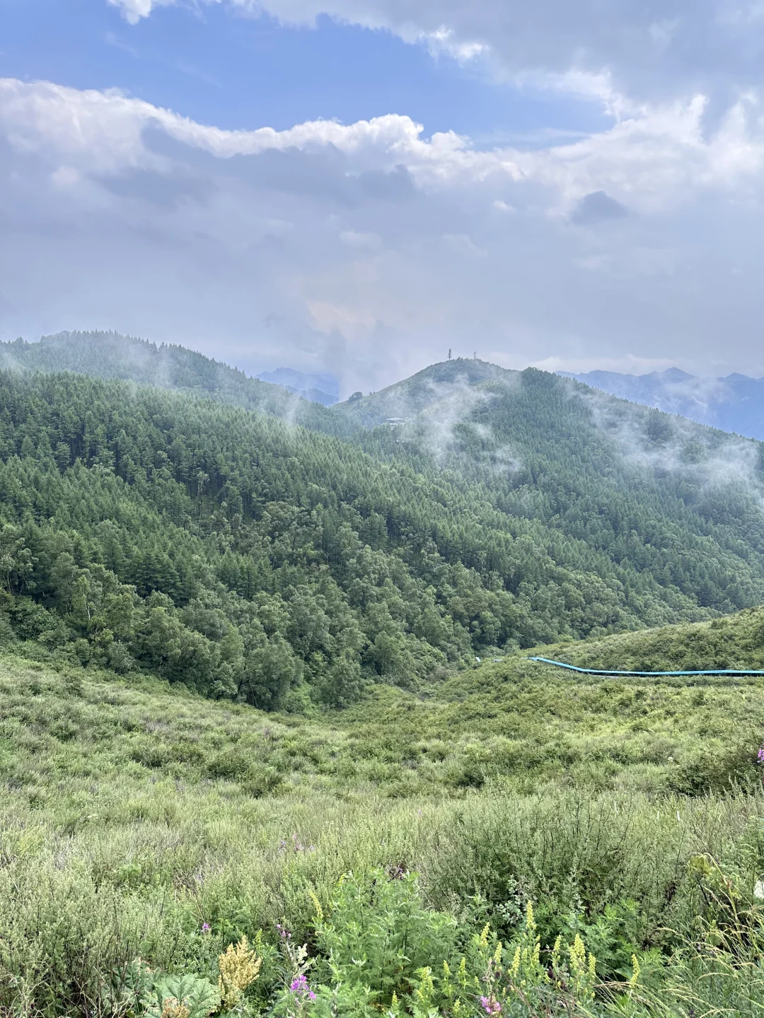 森林氧吧石家庄好去处～拒绝焦虑，停止内耗