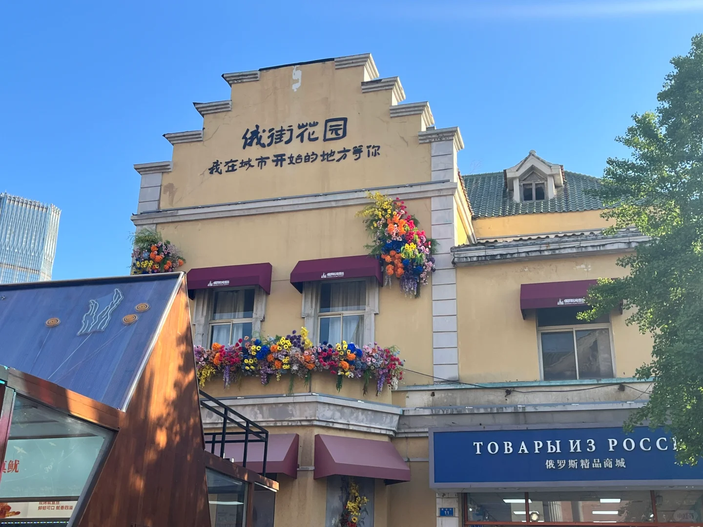 大连已回 我的感受是