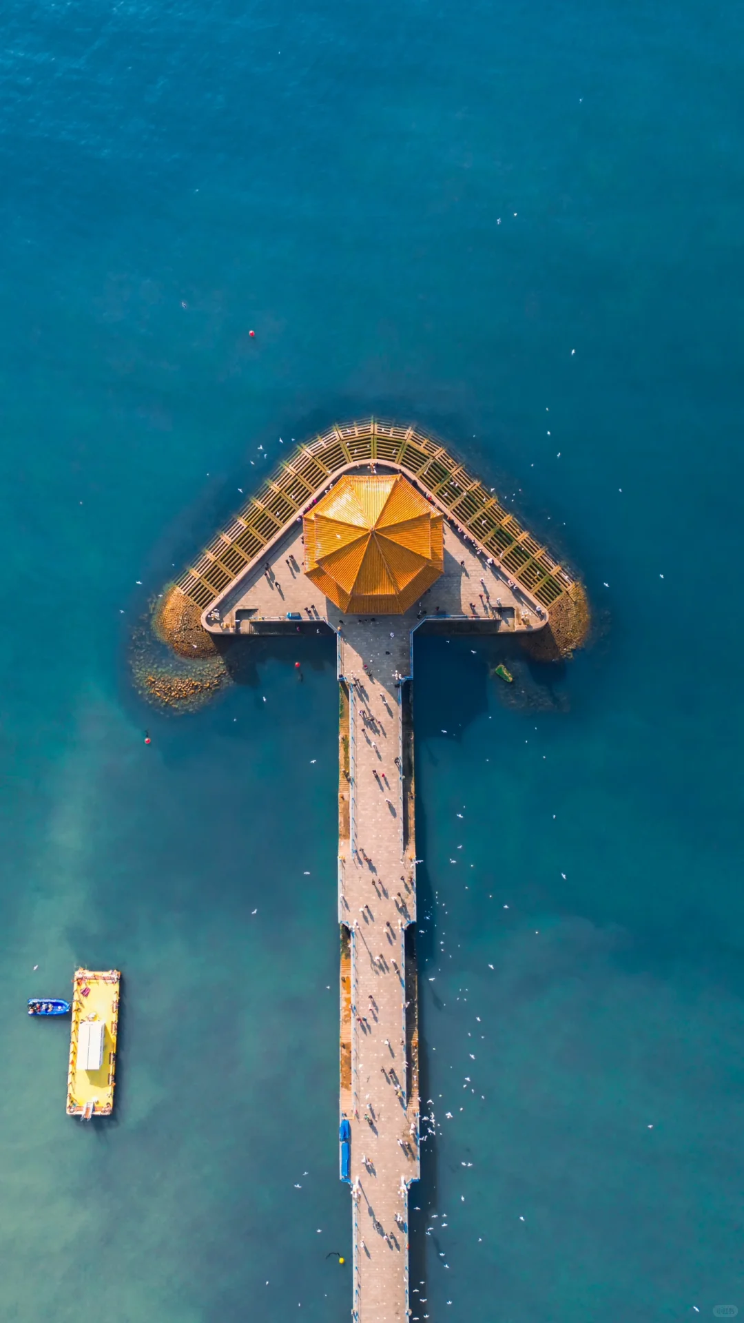 第一次来青岛旅游📸拍完这9️⃣个机位再走‼️