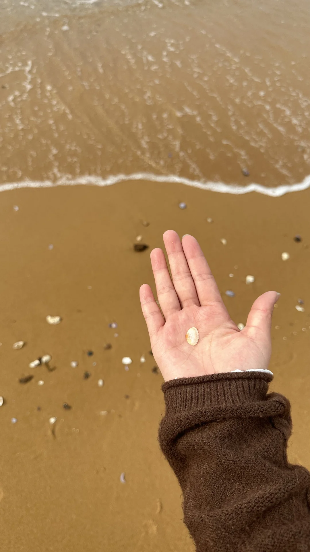 郑州出发去烟台和威海四天旅游攻略