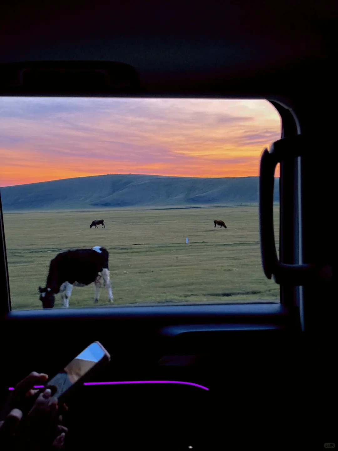 Live图🍃初夏的呼伦贝尔才是人间理想!!