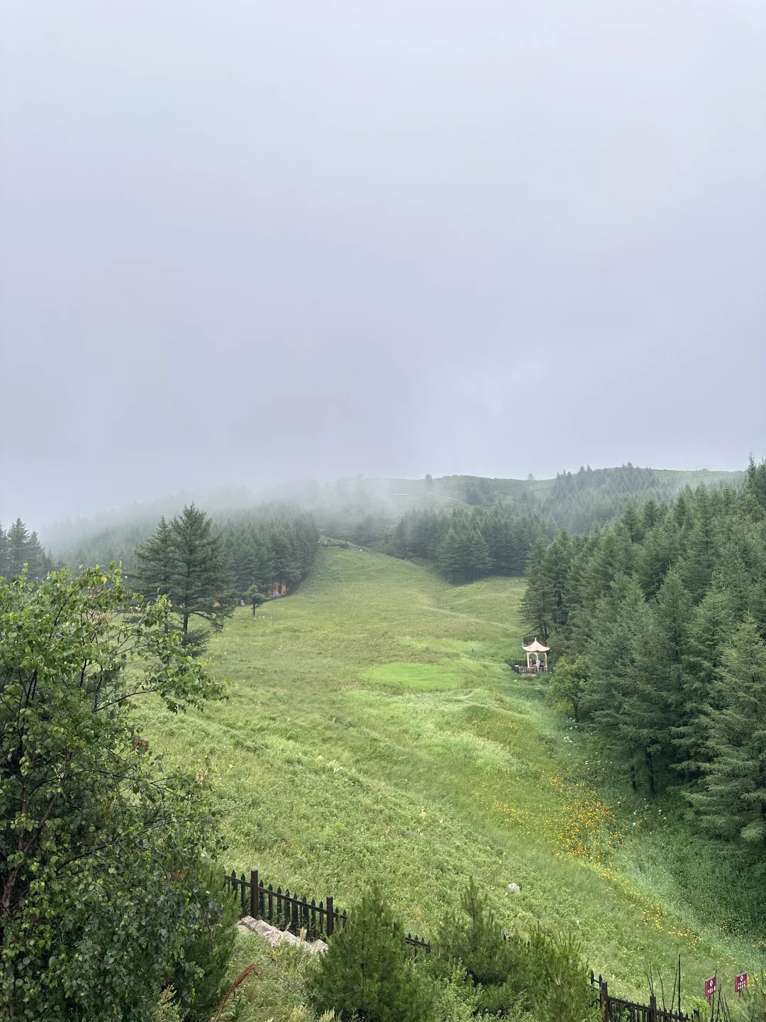 森林氧吧石家庄好去处～拒绝焦虑，停止内耗